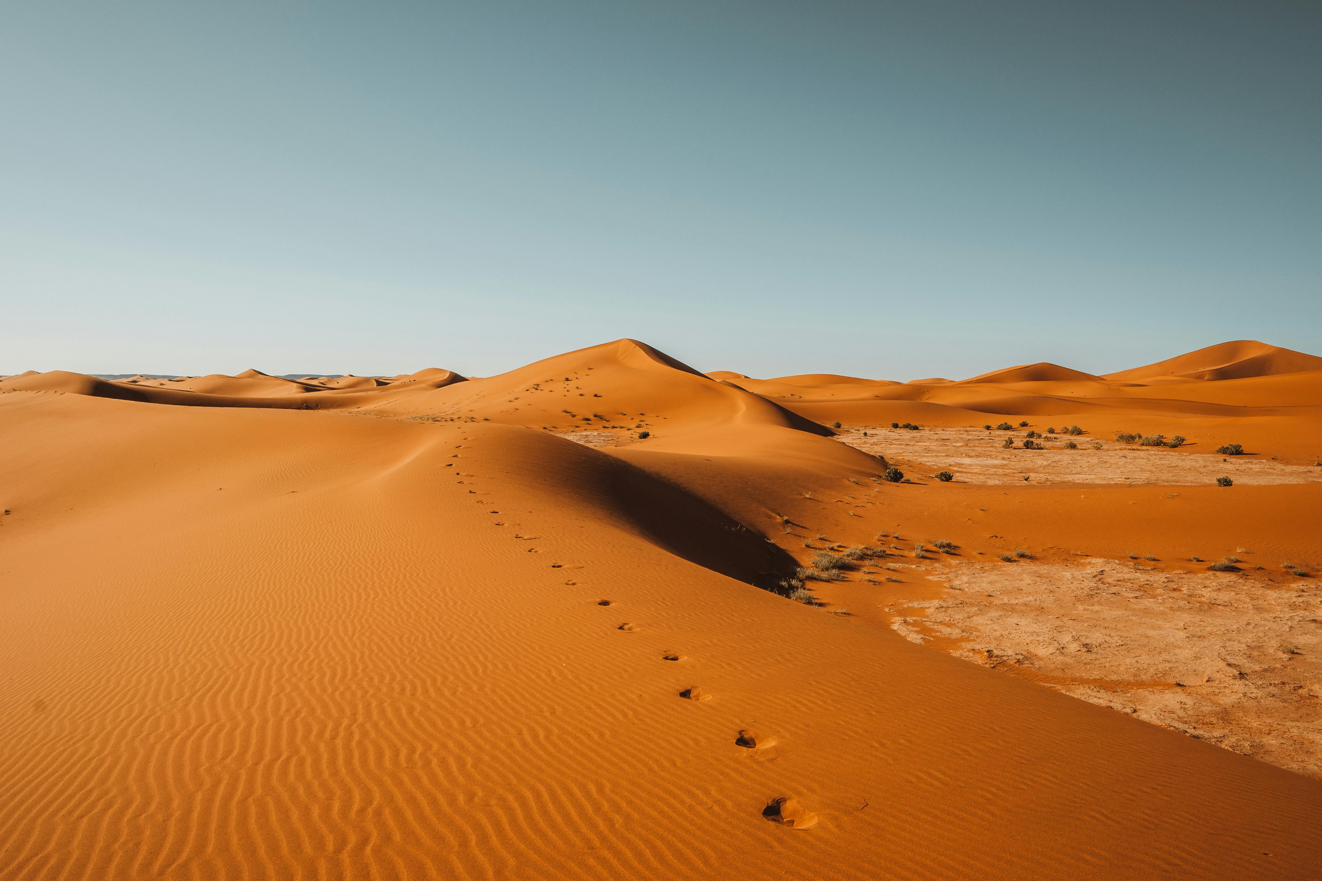 Sahara Desert